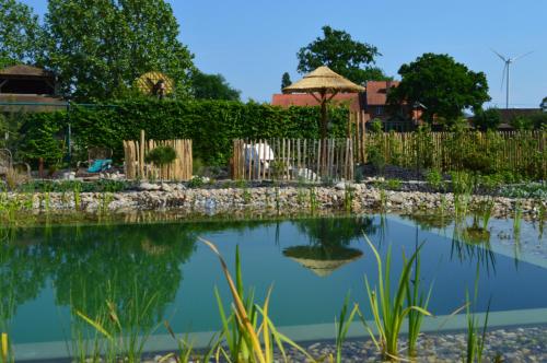 a pond in the middle of a garden at Relax B&B Lavendine Pure in Genk