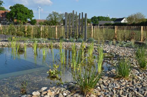 a pond in a garden with plants in the water at Relax B&B Lavendine Pure in Genk