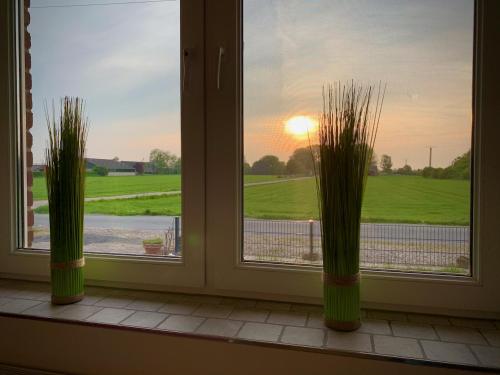 a window with two potted plants on a window sill at Ferienhaus Casa Markus Kalkar in Kalkar