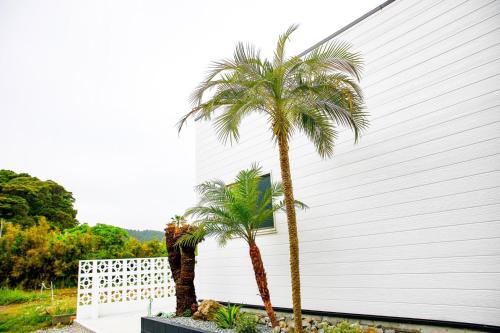Un jardín fuera de SHIRAHAMA BEACH GARDEN