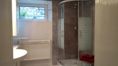een badkamer met een glazen douche en een wastafel bij Appartement Studio Kremser in Kranichfeld