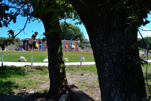 two trees in a field with a house in the background at CELTAINER in Maceda
