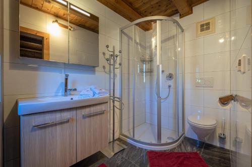 a bathroom with a shower and a sink and a toilet at Untere Roner Kasa in Mörtschach