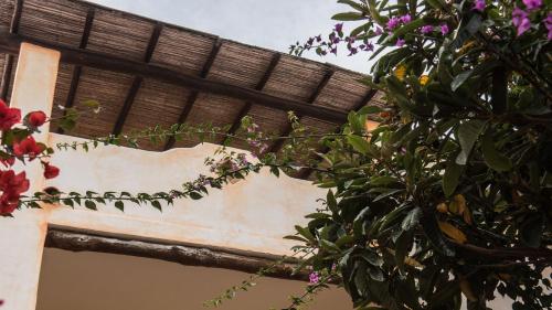 Welcomely - Stella Marina Blu – Photos 4