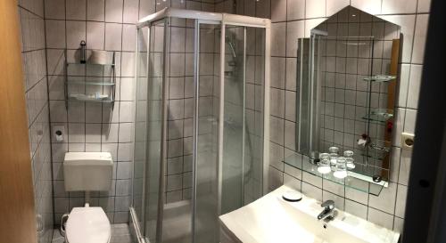 a bathroom with a shower and a toilet and a sink at Mertens in Soltau
