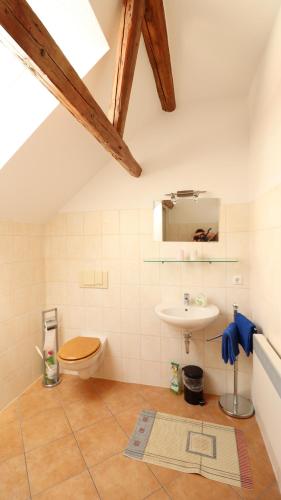 La salle de bains est pourvue de toilettes et d'un lavabo. dans l'établissement Ferienwohnungen Hering, à Kleingießhübel