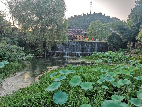 a pond with large green plants and a waterfall at 372 Jingjing Home in Yongshun