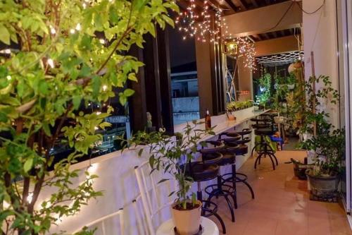 a bar with a bunch of potted plants at Namthip Residence in Trang