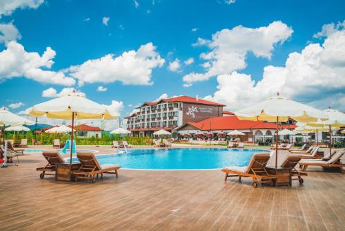 10-те най-добри хотели, които приемат домашни любимци в България |  Booking.com