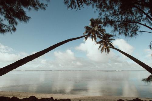 two palm trees on a beach with the ocean at Inn Land Inn in Vaimaanga
