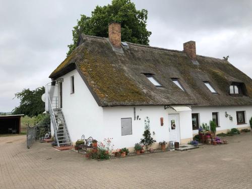 een groot wit gebouw met een rieten dak bij Ferienwohnung Landhaus in Zurow