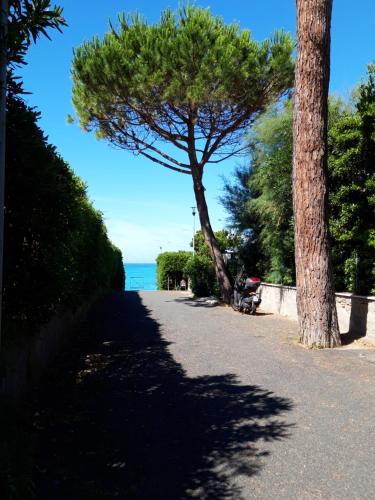 Gallery image of Rosignano Bed and Car in Castiglioncello