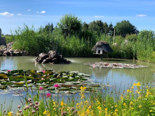 Kiek mol in photo 15