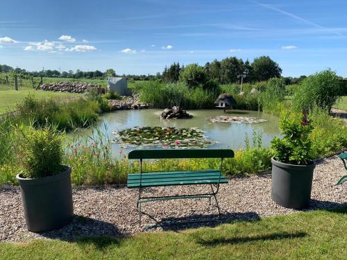Kiek mol in photo 16