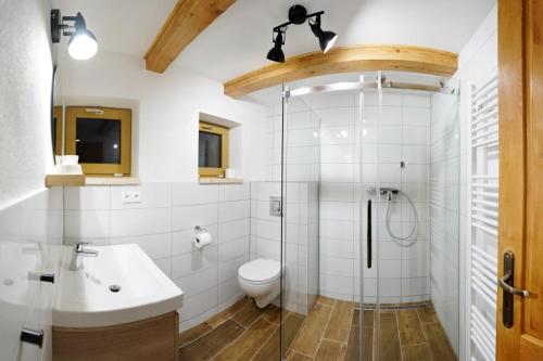 a bathroom with a shower and a toilet and a sink at Penzión Jozef a apartmány in Demanovska Dolina
