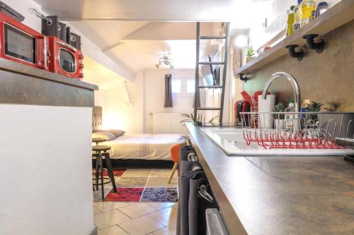 - une cuisine avec évier et un lit dans une chambre dans l'établissement Studio atypique et cosy, classé Gîte de France, CLIMATISATION, lit Queen Size, lave-vaisselle, Netflix, wifi, 400m centre, parking, 15min gare, boîte à clés, Gîtes La Tarine, à Albertville