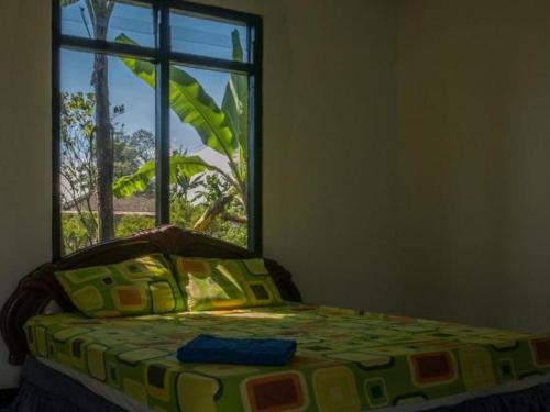- une chambre avec un lit, une fenêtre et un couvre-lit dans l'établissement Bukit Kembar Ecotourism, à Gitgit