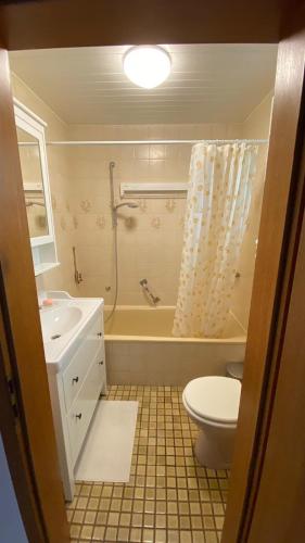 a bathroom with a tub and a toilet and a sink at Ferienhaus Irene in Friedrichshafen