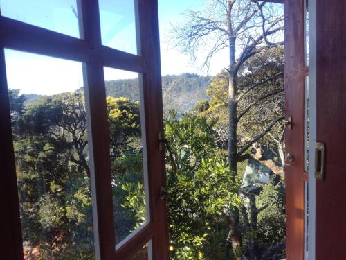 
a view through a window of a wooded area at Sincere Wilderness Home stay in Nuwara Eliya

