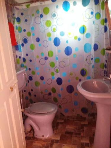 a bathroom with a pink toilet and a sink at Sincere Wilderness Home stay in Nuwara Eliya