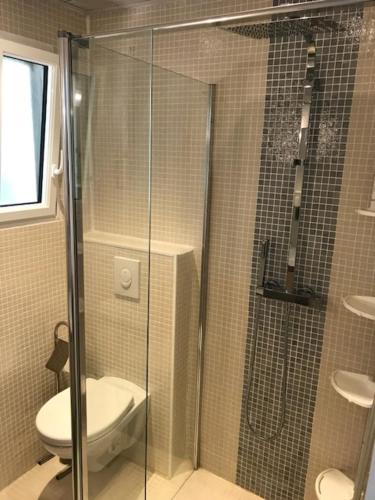 ein Bad mit einem WC und einer Glasdusche in der Unterkunft Villa Henri IV in La Couarde-sur-Mer