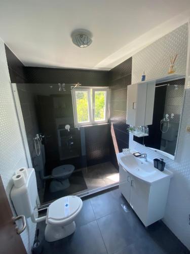 a bathroom with a toilet and a sink and a toilet istg at GUESTHOUSE RUZA SOBRA apartments in the attic of the house in Sobra