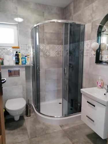 a bathroom with a shower and a toilet and a sink at Domek na Kaszubach nad Jeziorem in Kłodno