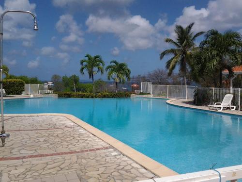 une grande piscine avec une chaise et des palmiers dans l'établissement La Martiniquaise, à Sainte-Anne