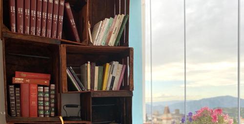 a book shelf filled with books next to a window at Canduleri in Orgosolo