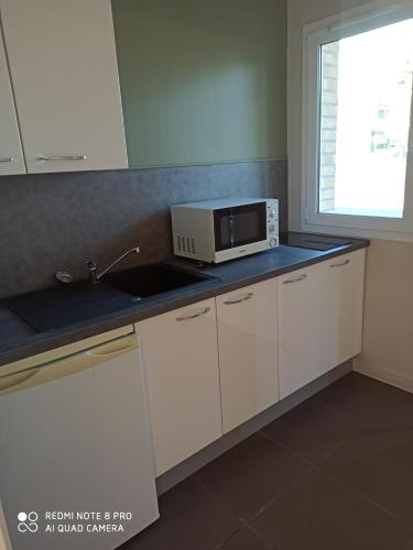 a kitchen with a sink and a microwave on a counter at Hotel Fleur de Lys in Bailleul