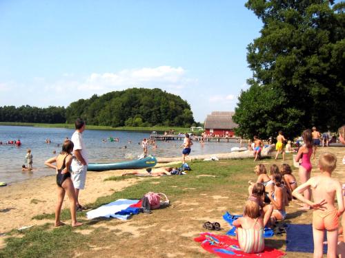 Gallery image of Hostel Waldhaus Am Ferienpark Mirow -Zimmer DU WC in Mirow