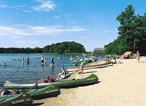 Gallery image of Hostel Waldhaus Am Ferienpark Mirow -Zimmer DU WC in Mirow