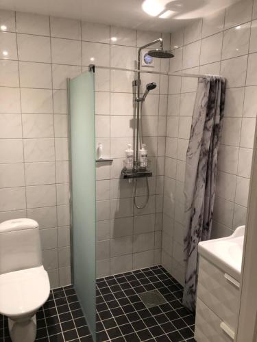 a bathroom with a shower and a toilet at Smultronstallet Gårdshotell in Valleberga