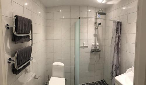a bathroom with a shower with a toilet and a sink at Smultronstallet Gårdshotell in Valleberga