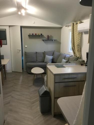 un salon avec un canapé et une table dans l'établissement MH 313 Les Dunes de Contis 3 chambres et 2salles de bain, à Saint-Julien-en-Born