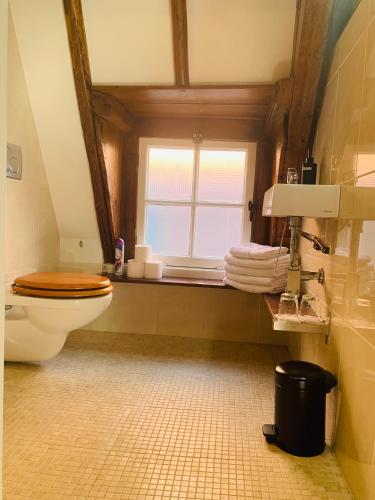 a bathroom with a toilet and a window at Amsterdam Central Guest House in Amsterdam