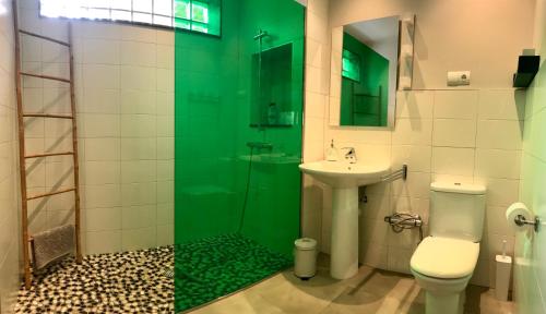 uma casa de banho verde com um WC e um lavatório em Apartamento en el Casco Histórico, frente a la Colegiata de San Isidoro, em León