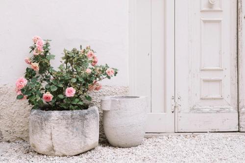 two concrete pots with flowers next to a door at CasaZavi in Belluno
