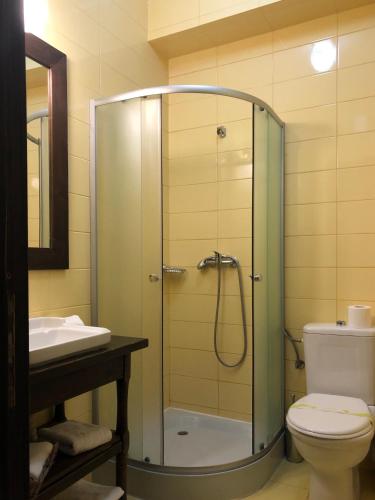 a bathroom with a shower with a toilet and a sink at Bucovina Lodge Pension in Vama