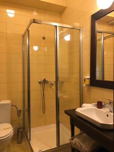 a bathroom with a shower and a toilet and a sink at Bucovina Lodge Pension in Vama