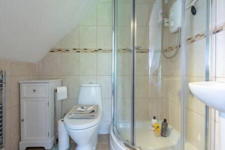 a bathroom with a shower and a toilet and a sink at The Chalet Somerset in Angersleigh