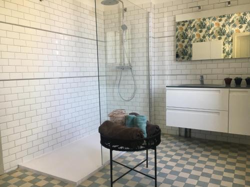 La salle de bains est pourvue d'une douche et d'un tabouret avec un lavabo. dans l'établissement Les Roches Bleues, à Uzerche