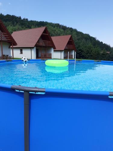 uma piscina com um frisbee na água em Domki Pod Czarnym Groniem em Rzyki