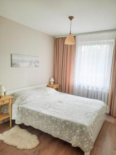 Lova arba lovos apgyvendinimo įstaigoje Rima's apartment