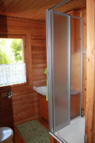 een badkamer met een douche en een wastafel bij Immerkopf in Wiehl