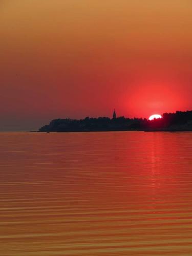 Apartment Novigrad City Centre