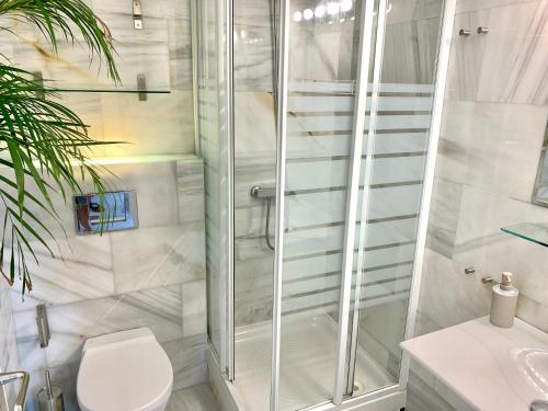 een badkamer met een douche, een toilet en een wastafel bij Apartamentos Puerta del Sol-Rastro in Madrid