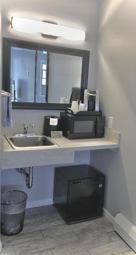 a bathroom with a sink and a microwave on a counter at Empire Lakeshore Inn in Empire