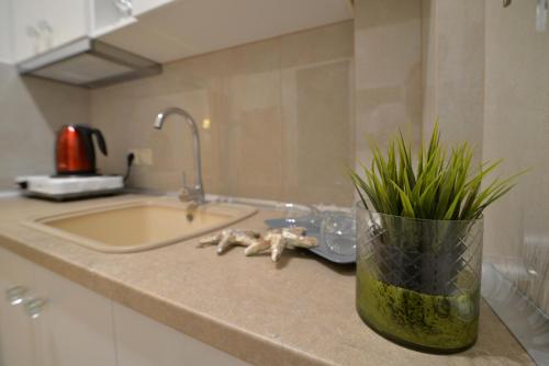 a kitchen counter with a sink and a vase with grass at Epavlis Luxury apts in Leptokaria