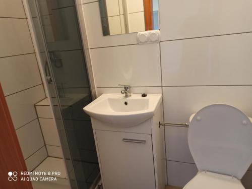 Ένα μπάνιο στο Noclegi Pod Kasztanami